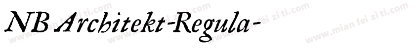NB Architekt-Regula字体转换
